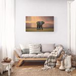 Canvas Wall Art - 1000 x 550 - Elephant Sunrise