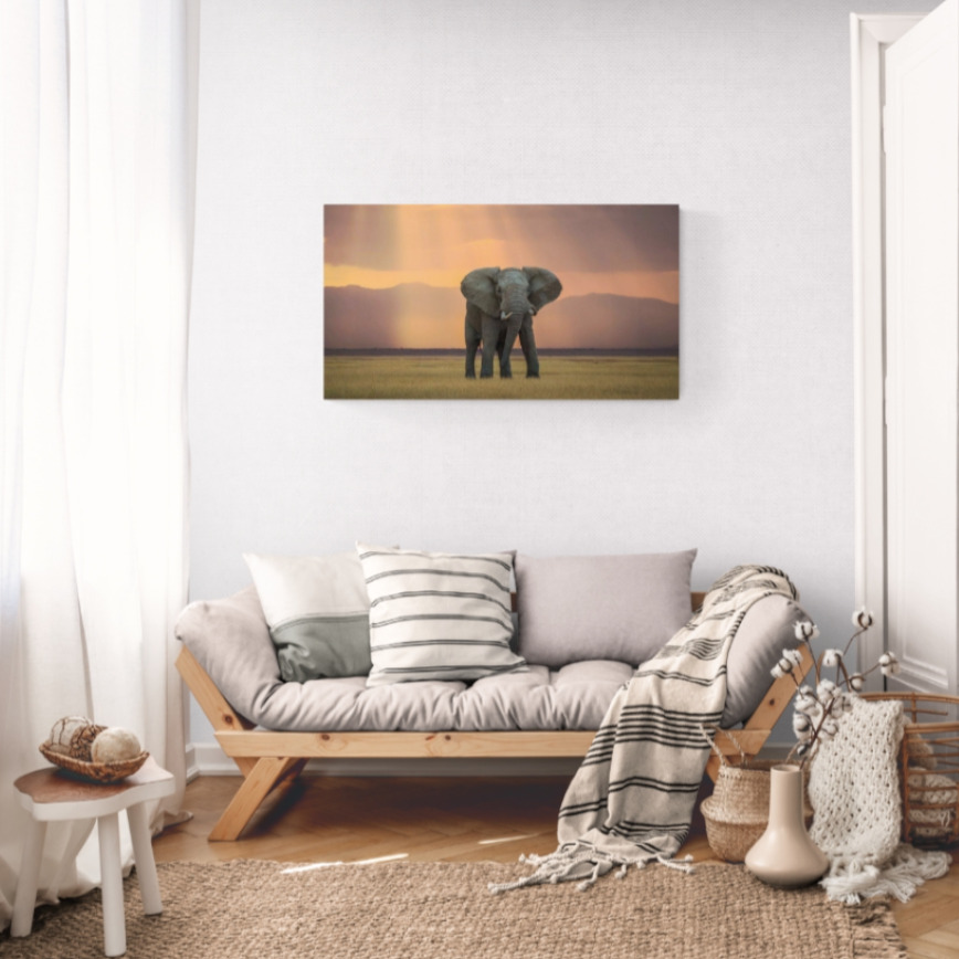 Canvas Wall Art - 1000 x 550 - Elephant Sunrise