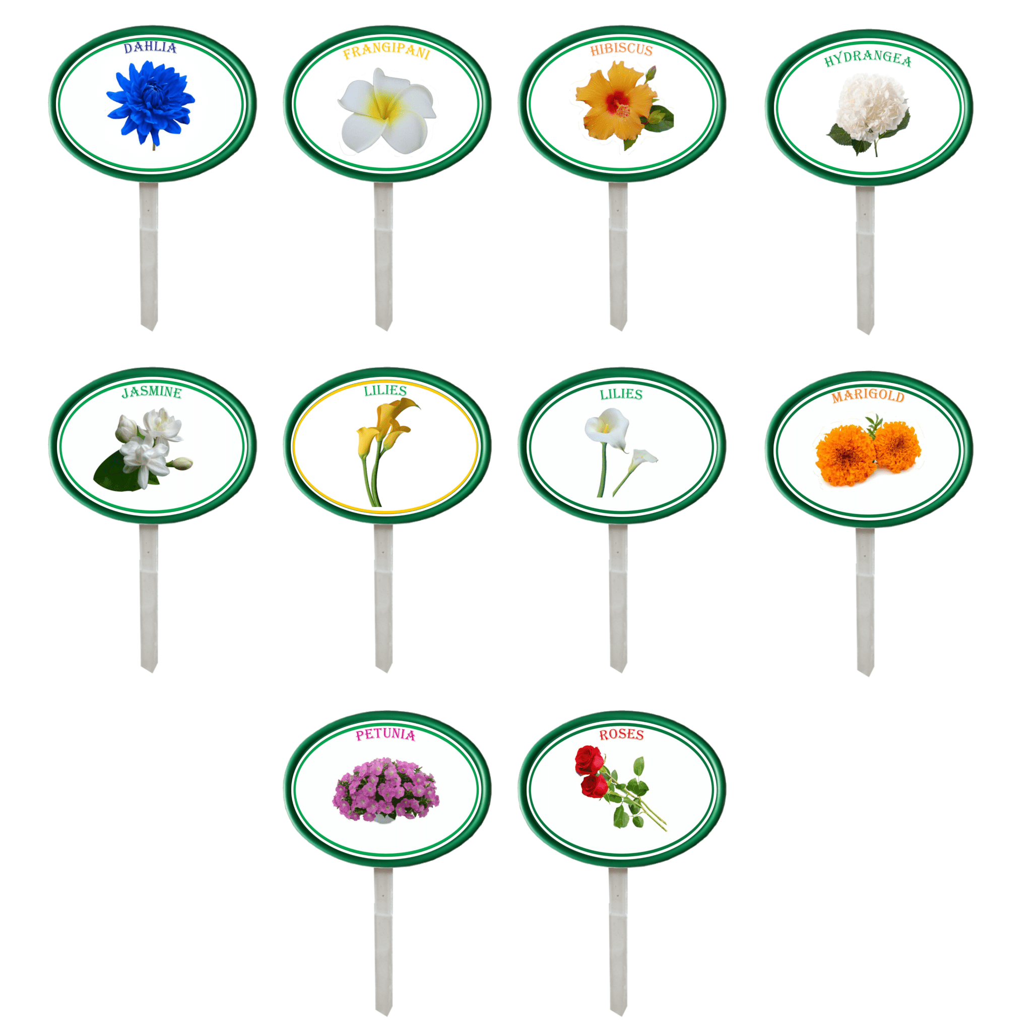 Garden Pops - Flowers - Pack 1