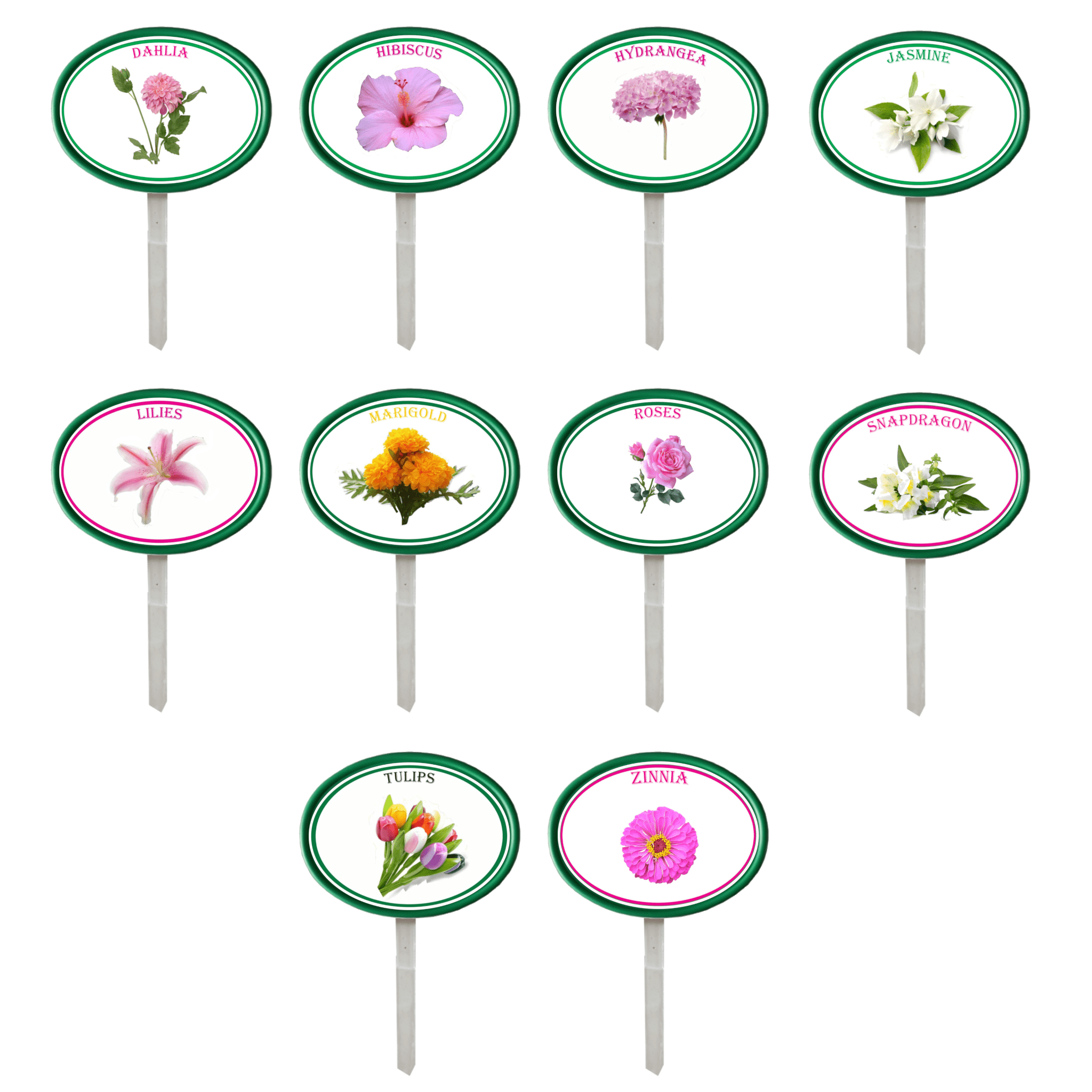 Garden Pops - Flowers - Pack 2