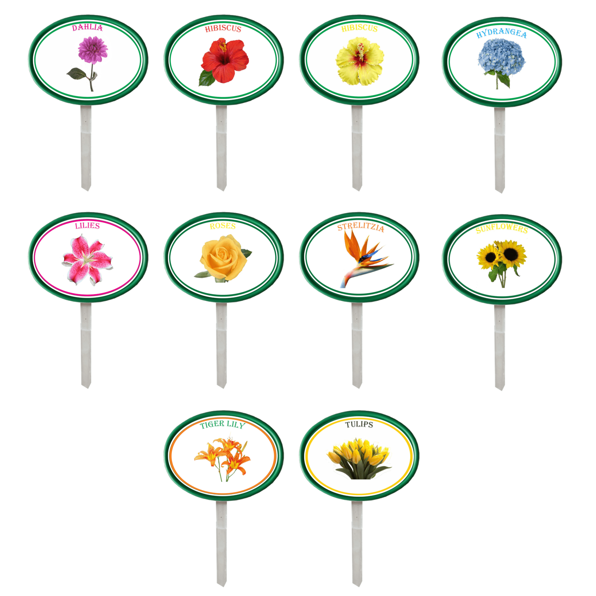 Garden Pops - Flowers - Pack 3