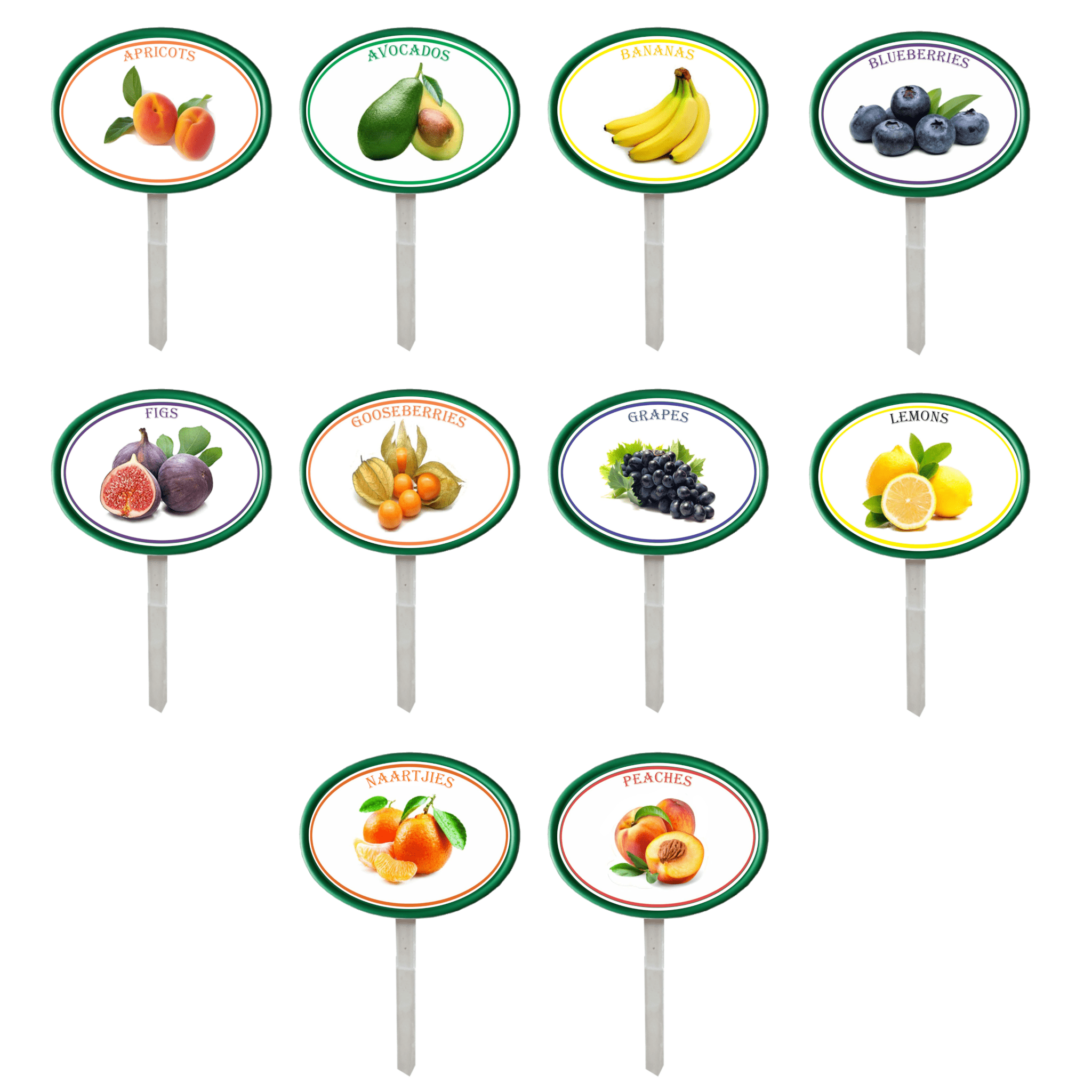 Garden Pops - Fruits - Pack 1