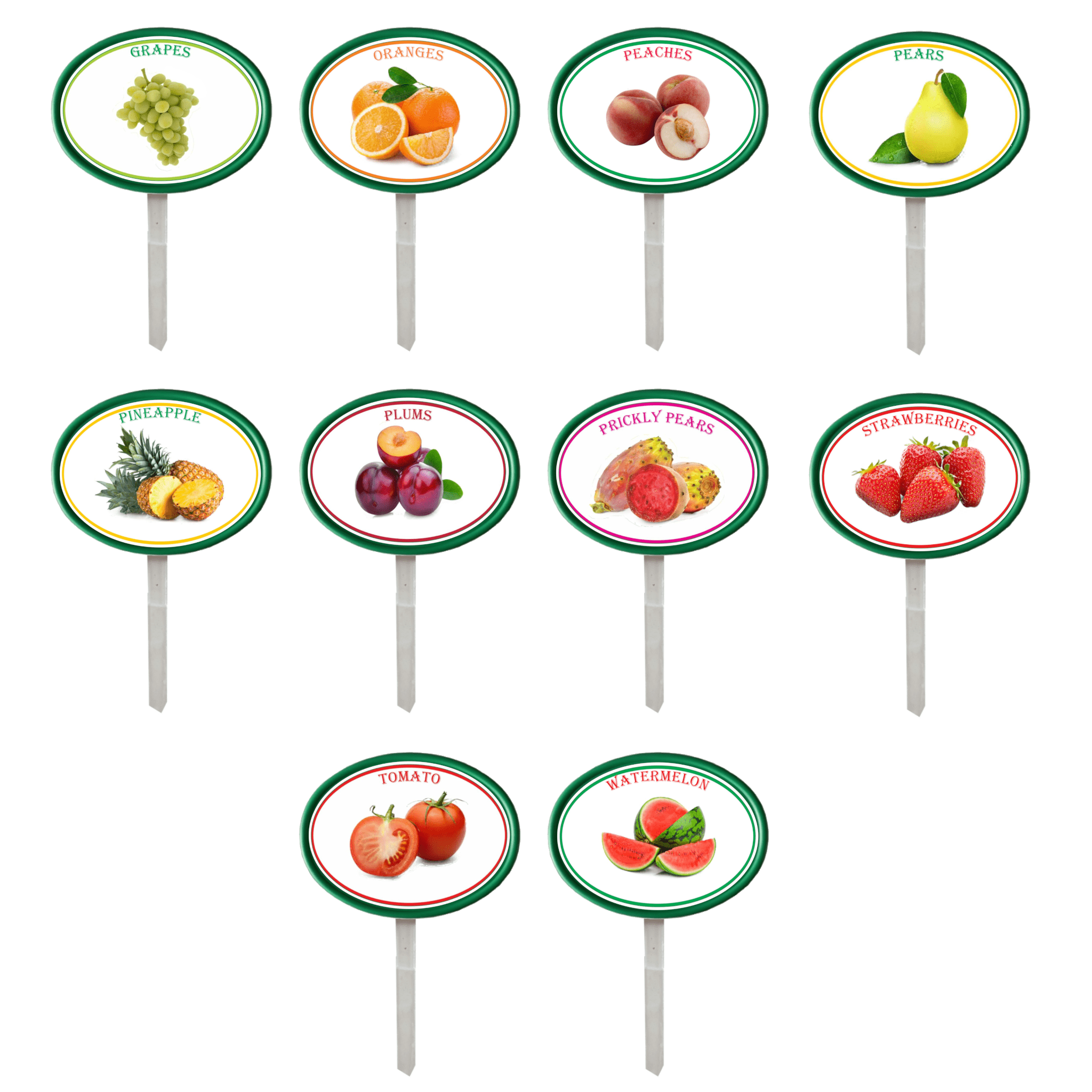 Garden Pops - Fruits - Pack 2