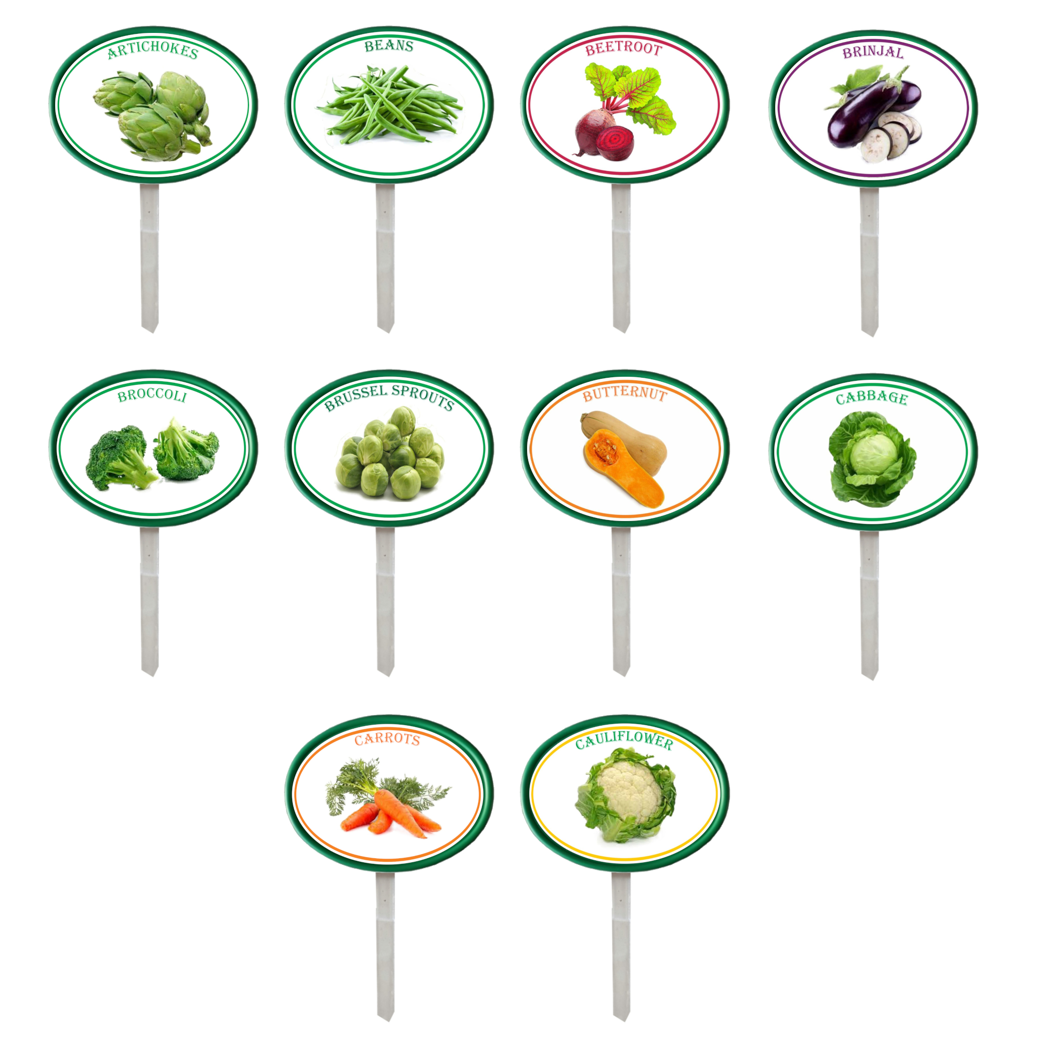 Garden Pops - Vegetables - Pack 1