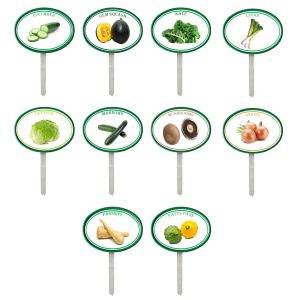 Garden Pops - Vegetables - Pack 2