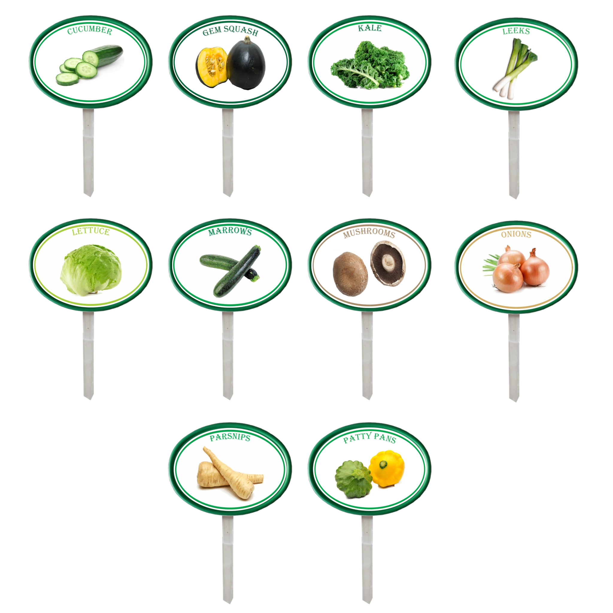 Garden Pops - Vegetables - Pack 2