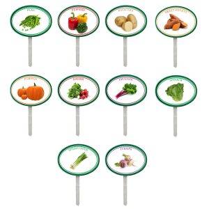 Garden Pops - Vegetables - Pack 3