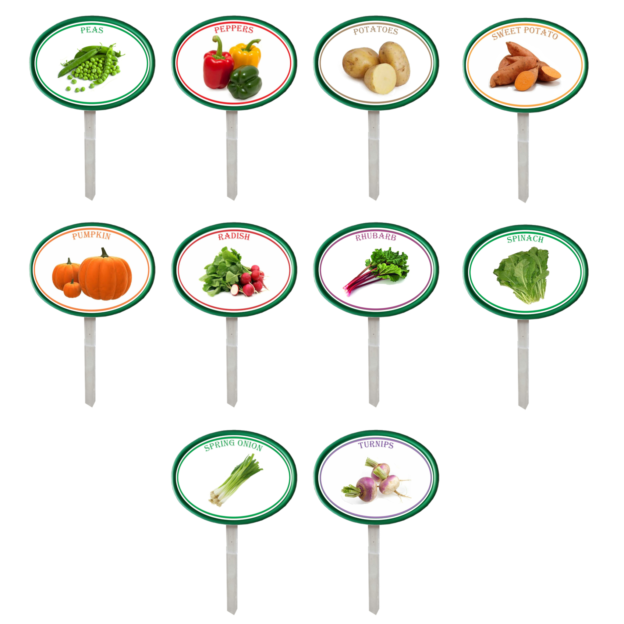 Garden Pops - Vegetables - Pack 3