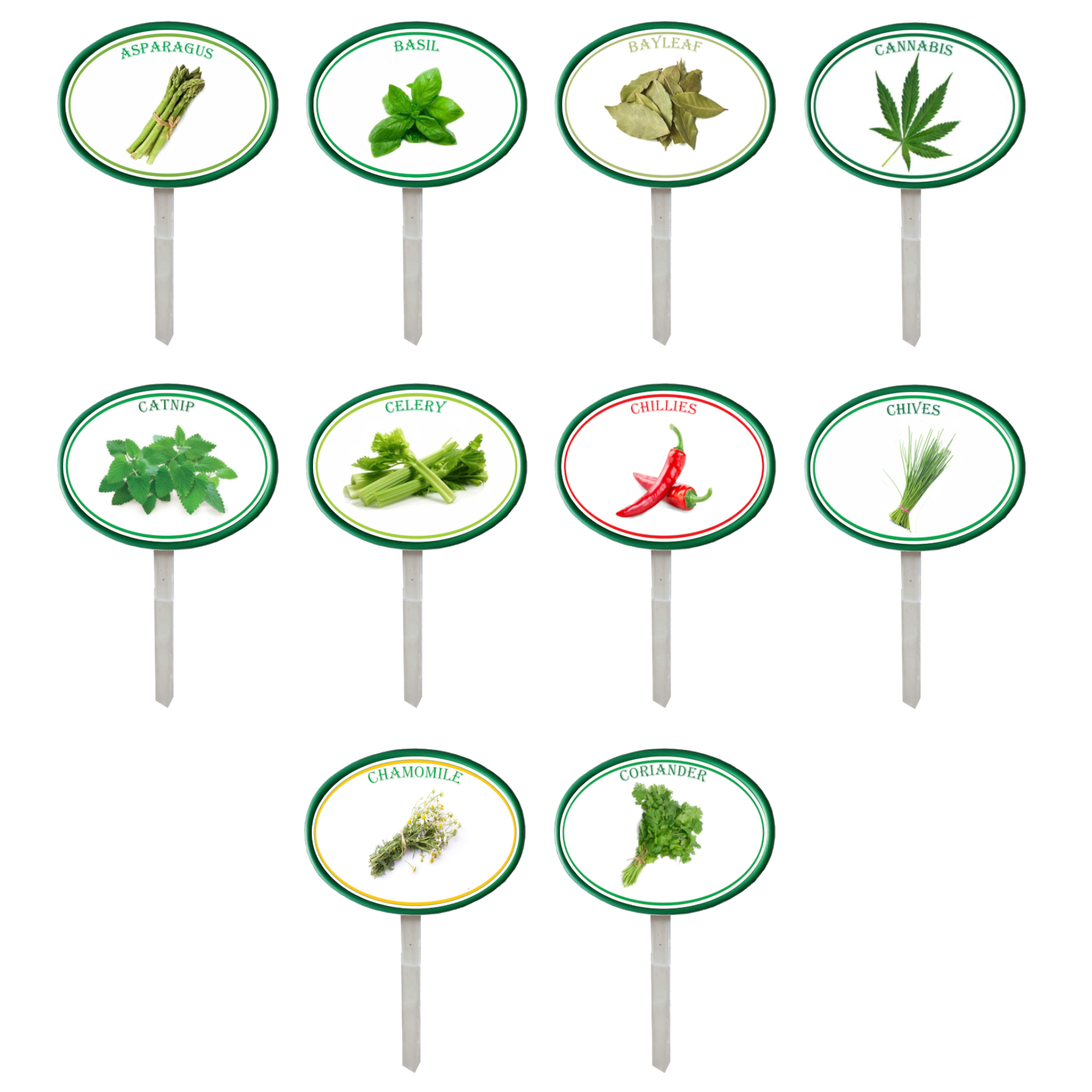 Garden Pops - Herbs- Pack 1