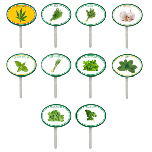 Garden Pops - Herbs- Pack 2