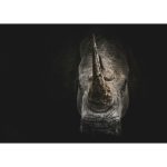 Canvas Wall Art - 1000 x 750 - Rhino 2