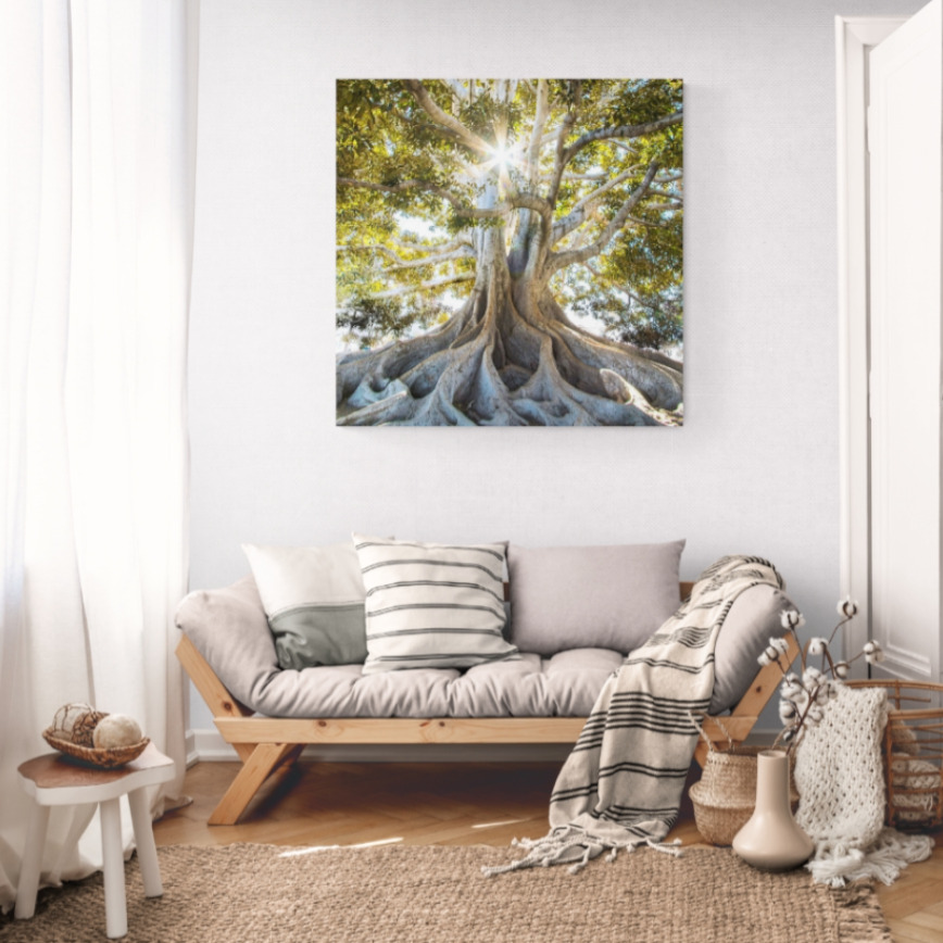 Canvas Wall Art - 1000 x 1000 - Tree