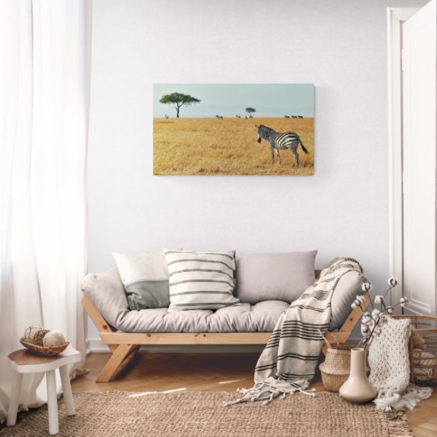 Canvas Wall Art - 1000 x 570 - Zebra