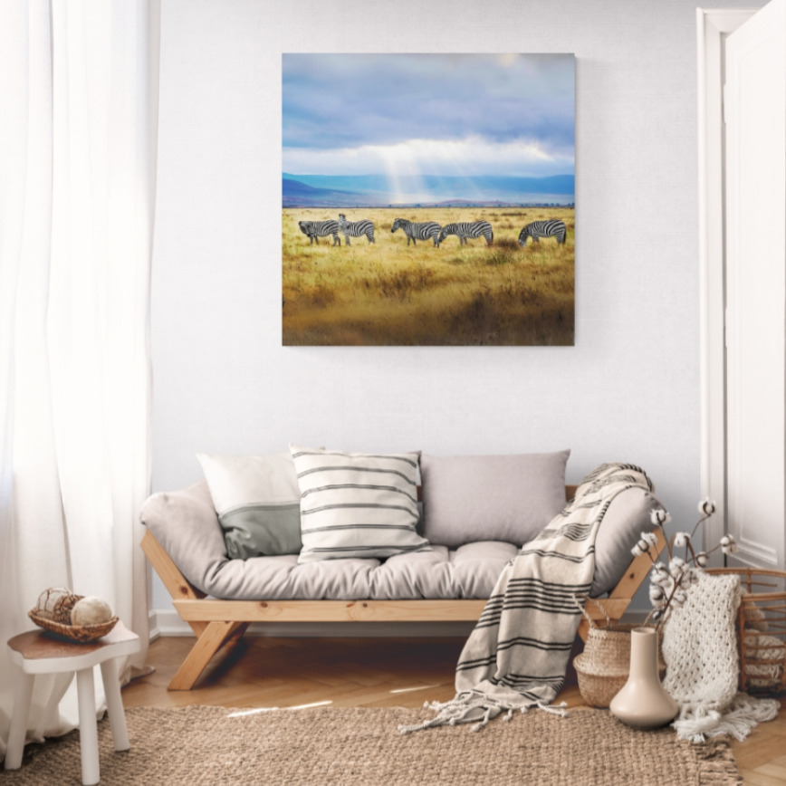 Canvas Wall Art - 1000 x 1000 - Zebras